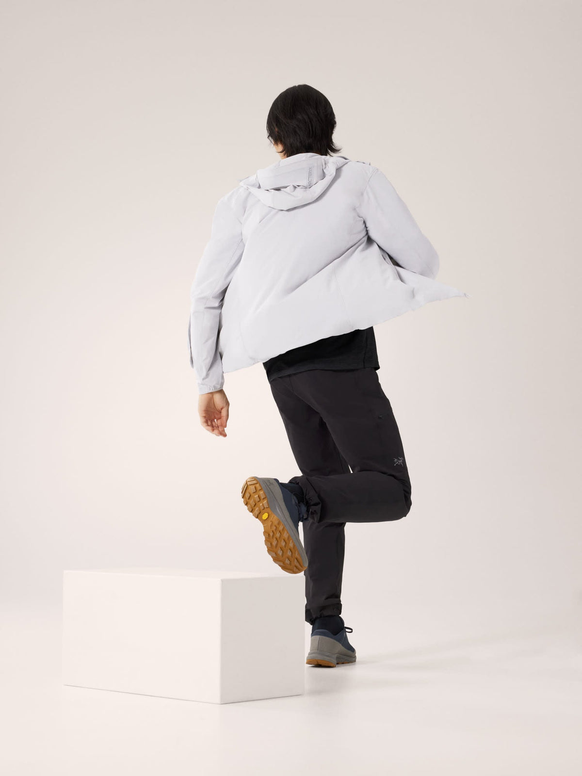 Gamma Lightweight Hoody Men's