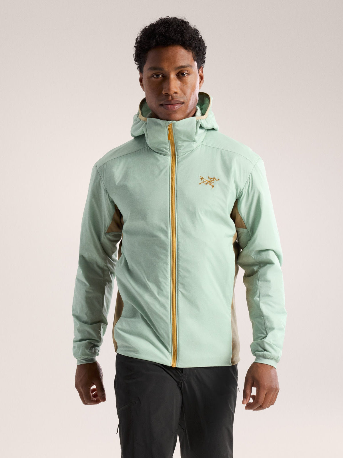 Atom Hoody Men's